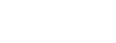 SNOFALL SNOWFLAKES